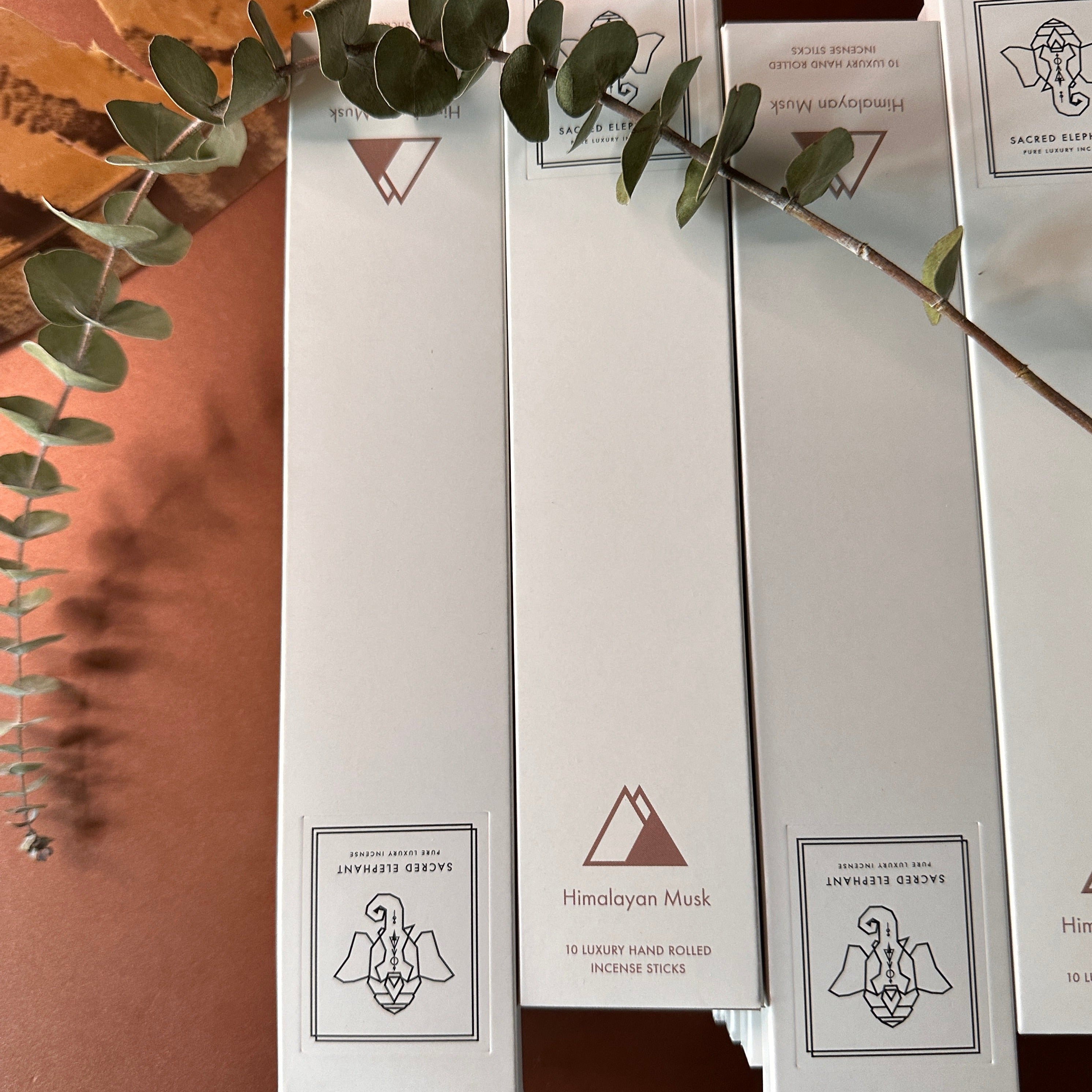 Sacred Elephant Räucherstäbchen Himalayan Musk im Set mit weiteren Sorten, umgeben von Eukalyptuszweigen – natürliche, harmonische Szene.