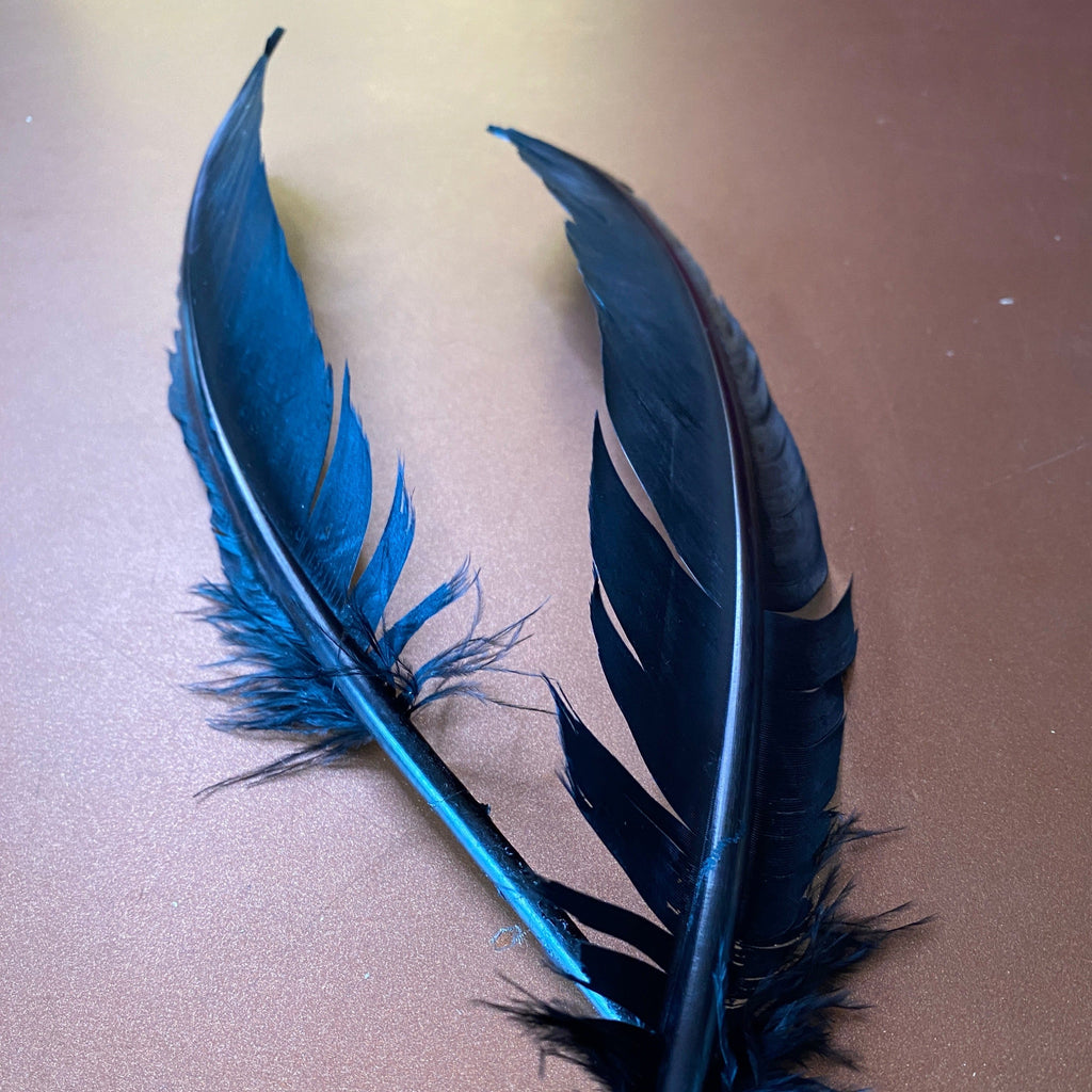 FEDER VON KRÄHE – 20 cm