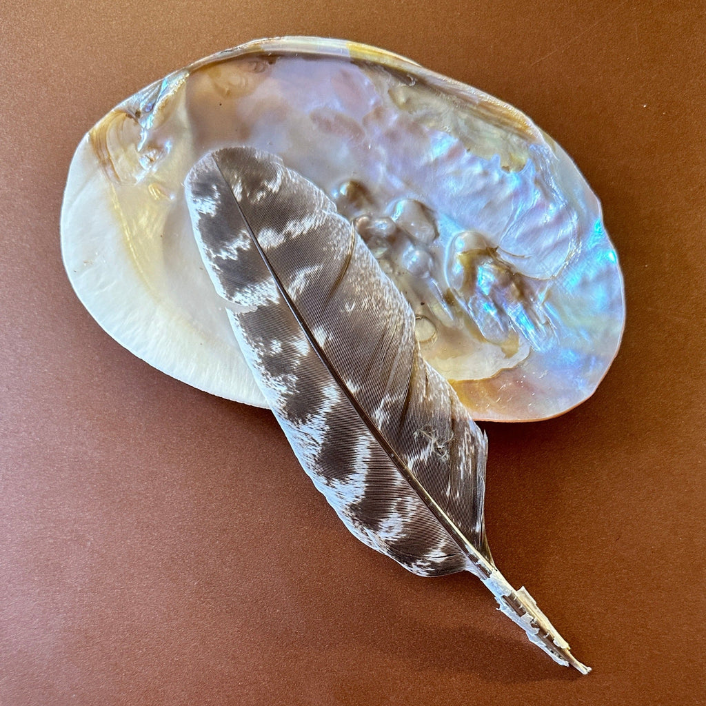 FEDER VON TRUTHAHN – 15 cm