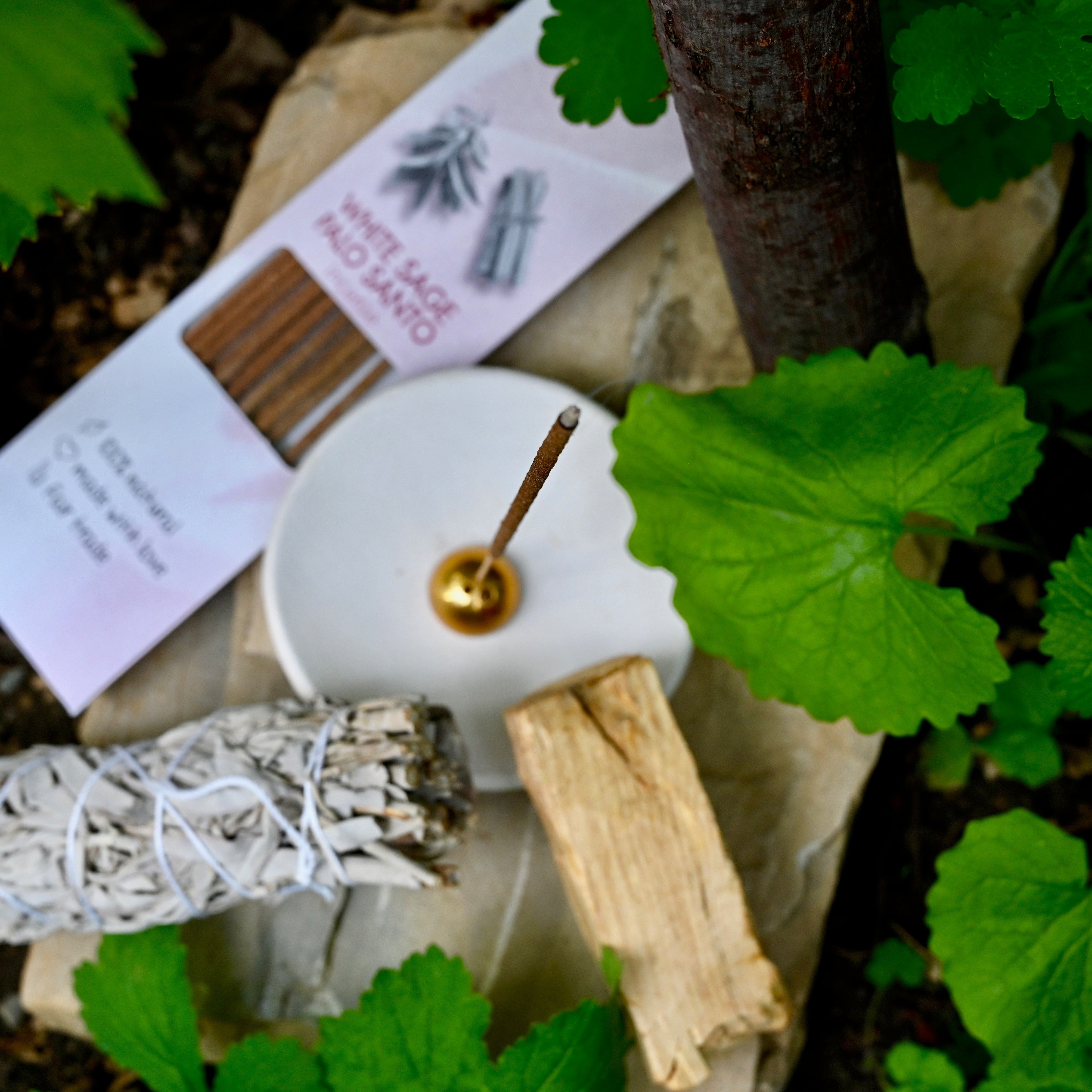 PALO SANTO & WEISSER SALBEI – Räucherstäbchen