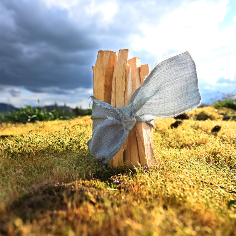 PALO SANTO – zeremonielles Räucherholz - Räucherware