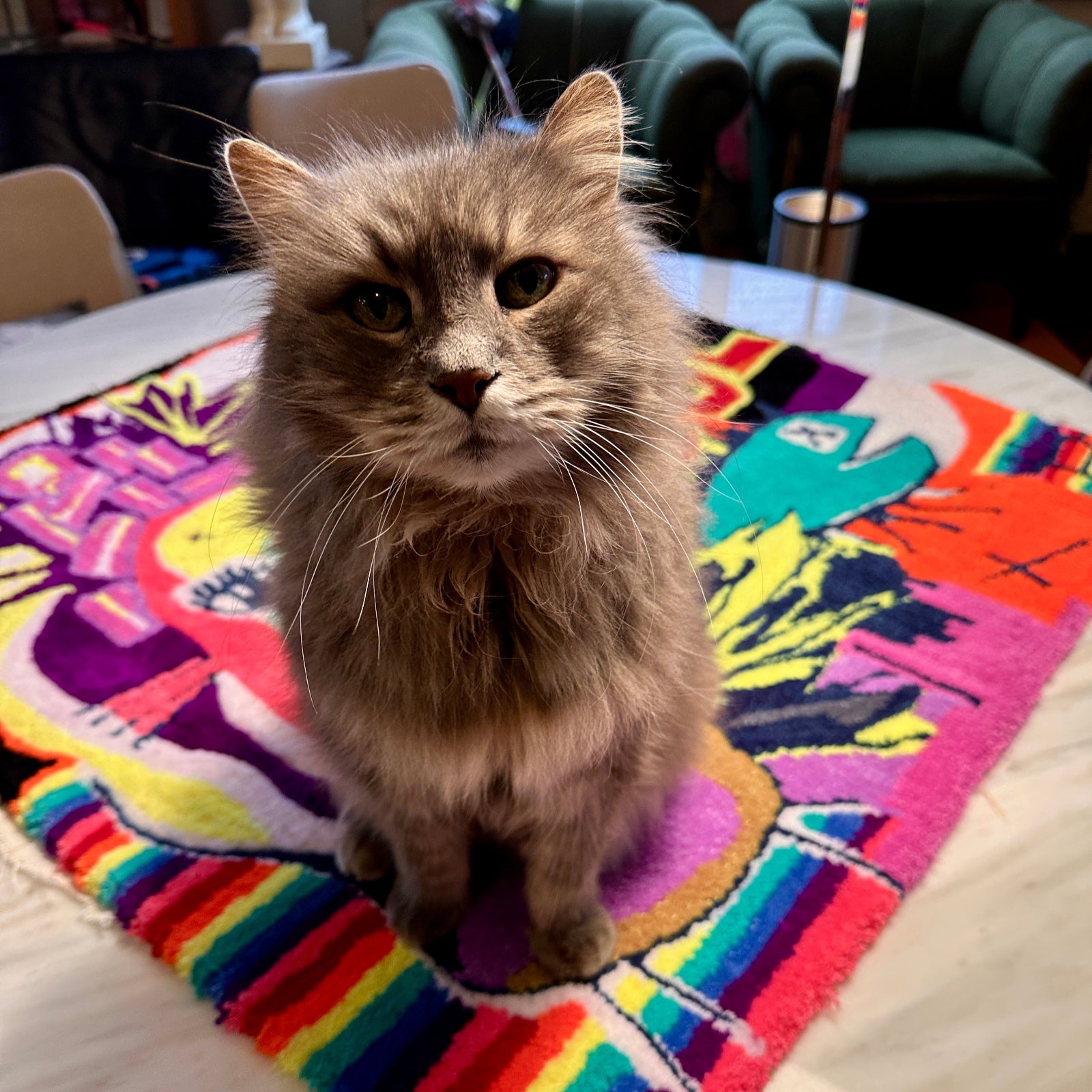 Freies Tufting im Atelier – Zeit für dein Projekt. Cashy hat immer genug Schnurrer übrig, um dich zu inspirieren. Der gute Tufting-Geist in Katzenform.