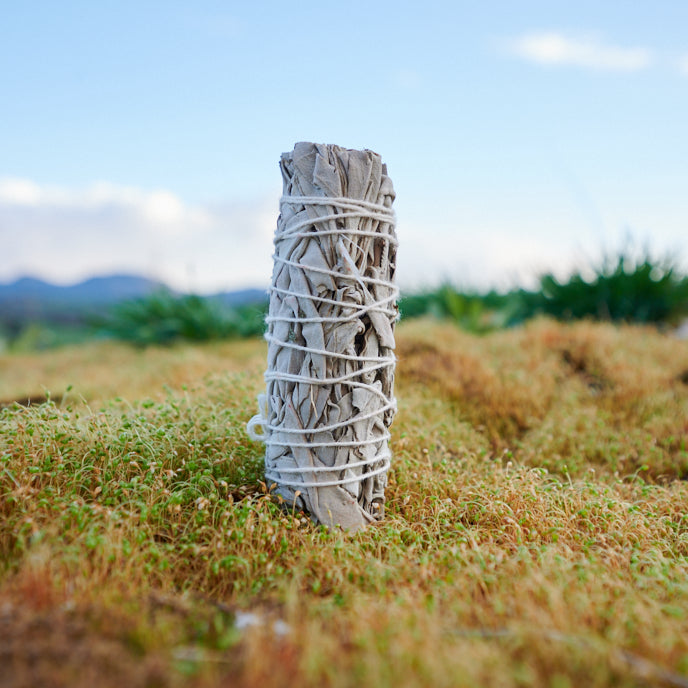 WEISSER SALBEI – Räucherstick - Räucherware