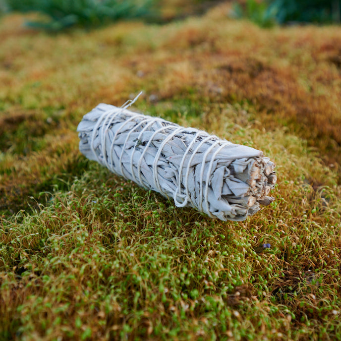 WEISSER SALBEI – Räucherstick - Small 12 cm - Räucherware
