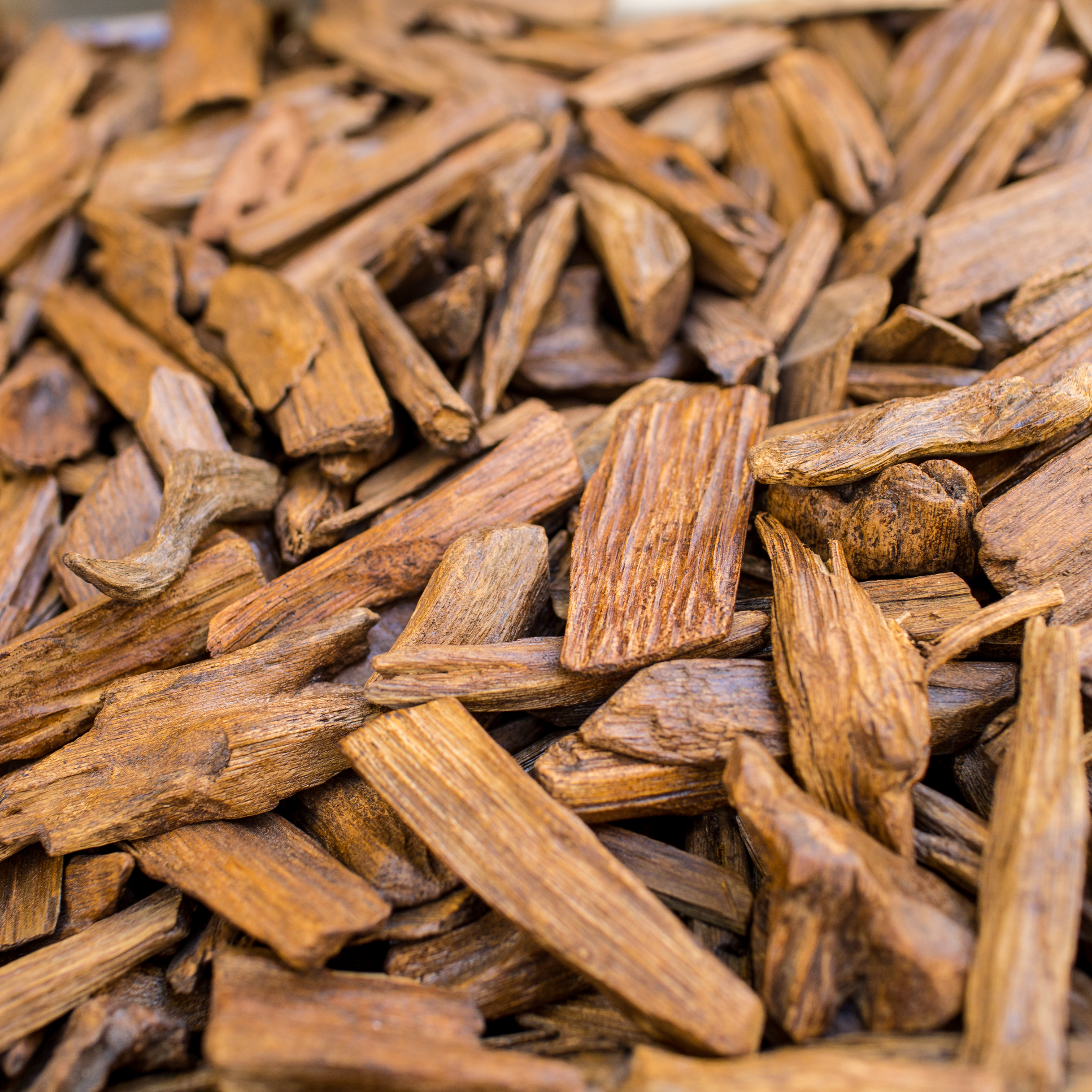 Adlerholz in seiner natürlichen Form – edle Basis des Agarwood-Dufts von Sacred Elephant.