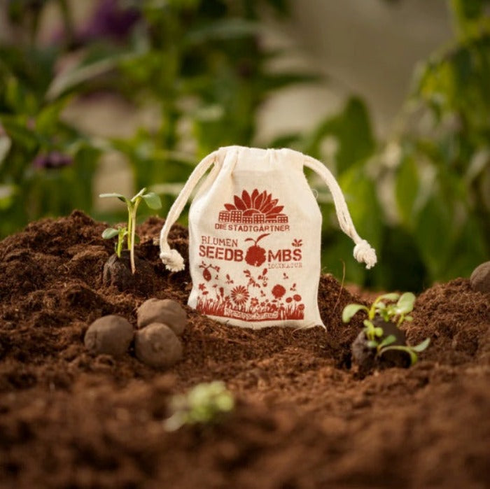 BIENENSCHMAUS – Samenbomben - Rasen & Garten