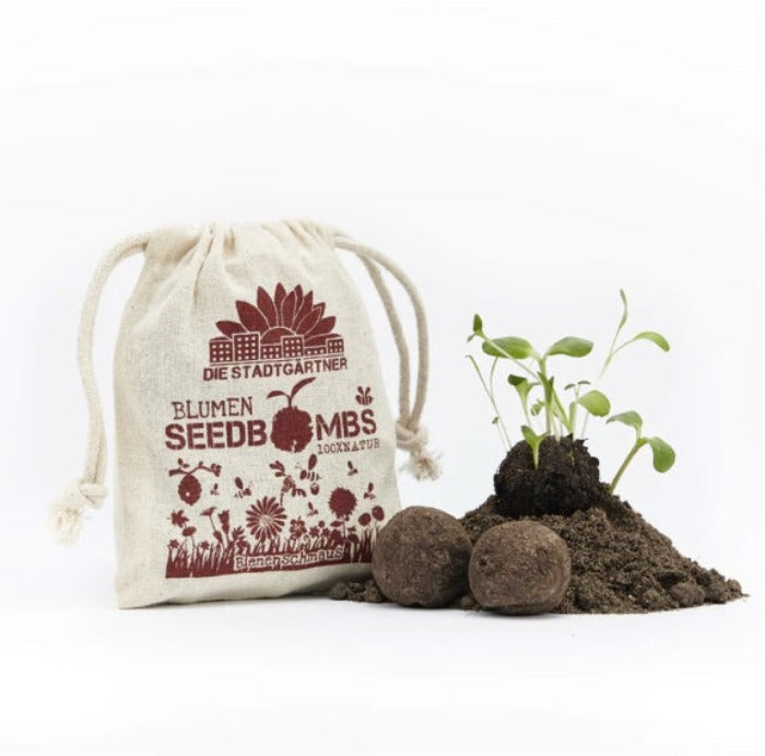 BIENENSCHMAUS – Samenbomben - Rasen & Garten