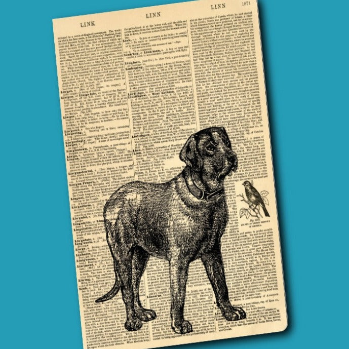 HUND – Notizbuch