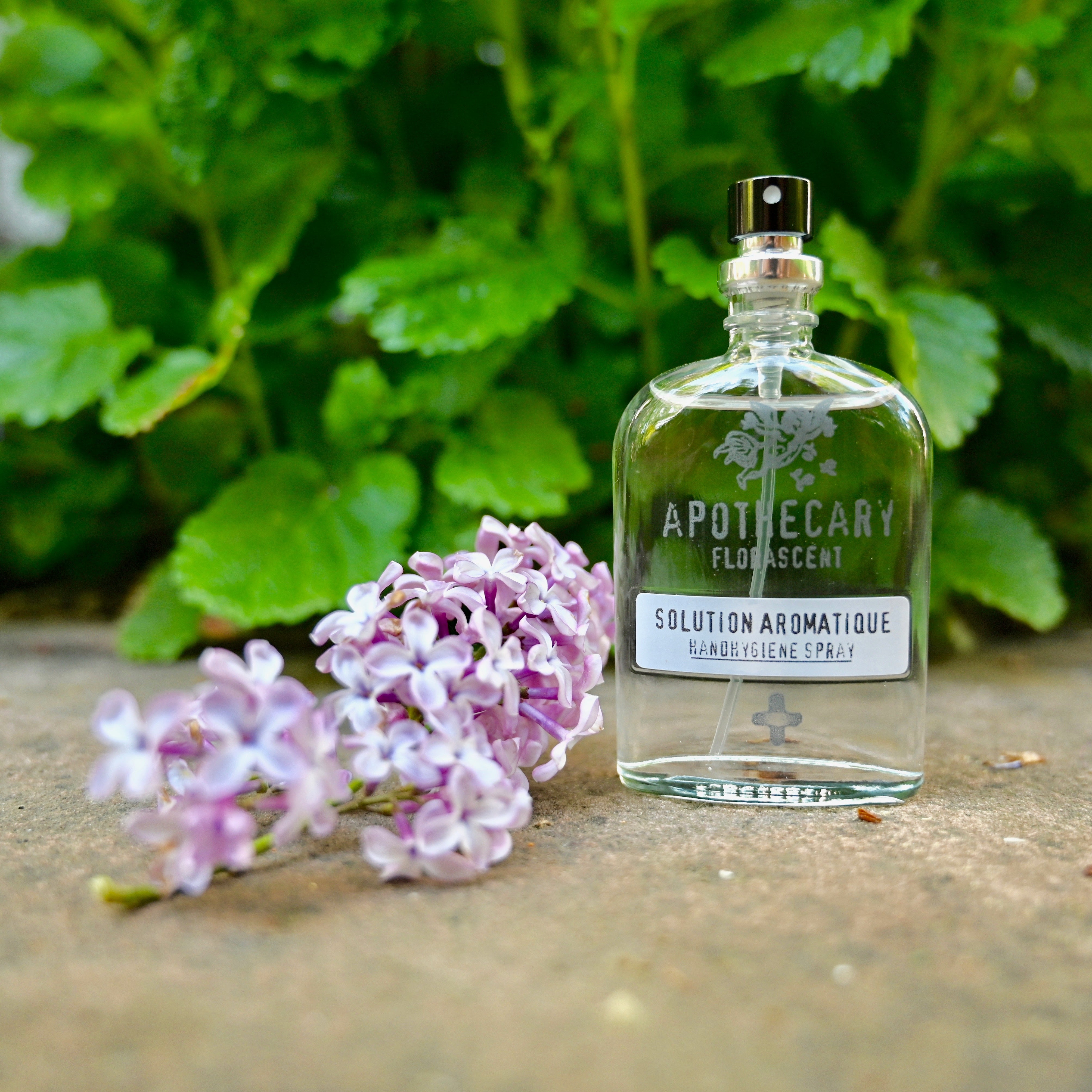 SOLUTION AROMATIQUE - Handhygiene Spray