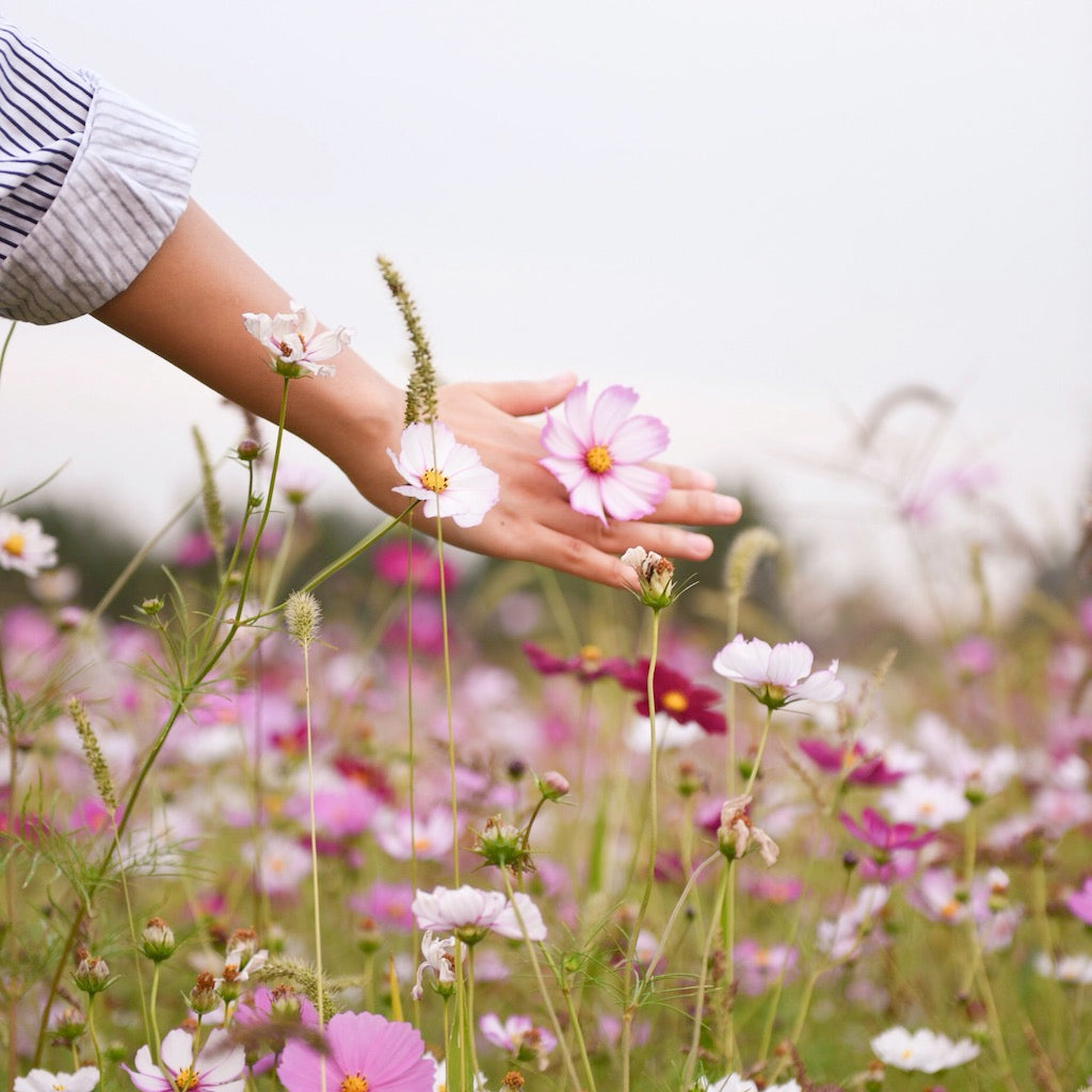 SOLUTION AROMATIQUE - Handhygiene Spray