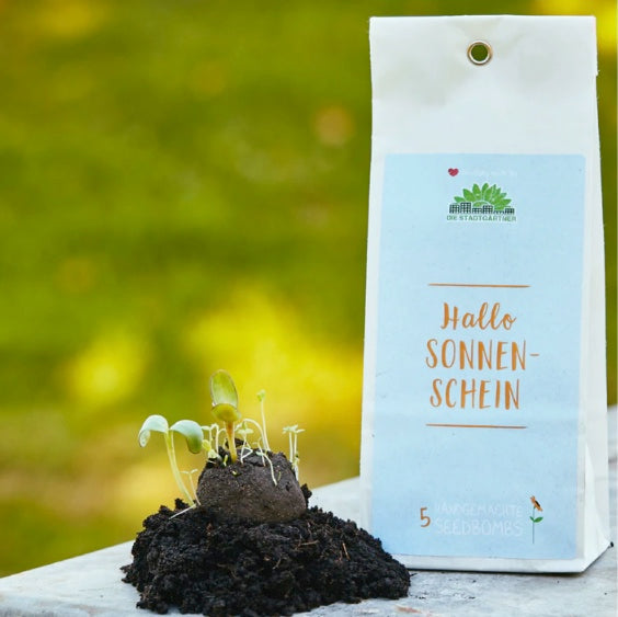 SONNENSCHEIN – Samenbomben - Rasen & Garten