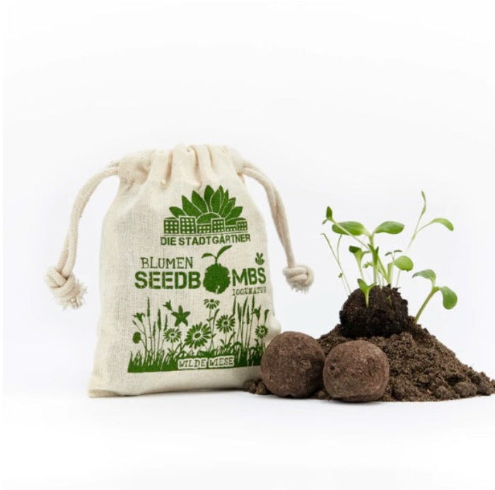WILDE WIESE – Samenbomben - Rasen & Garten