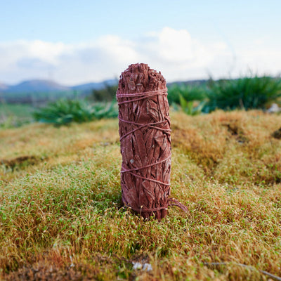 DRACHENBLUT – Räucherstick