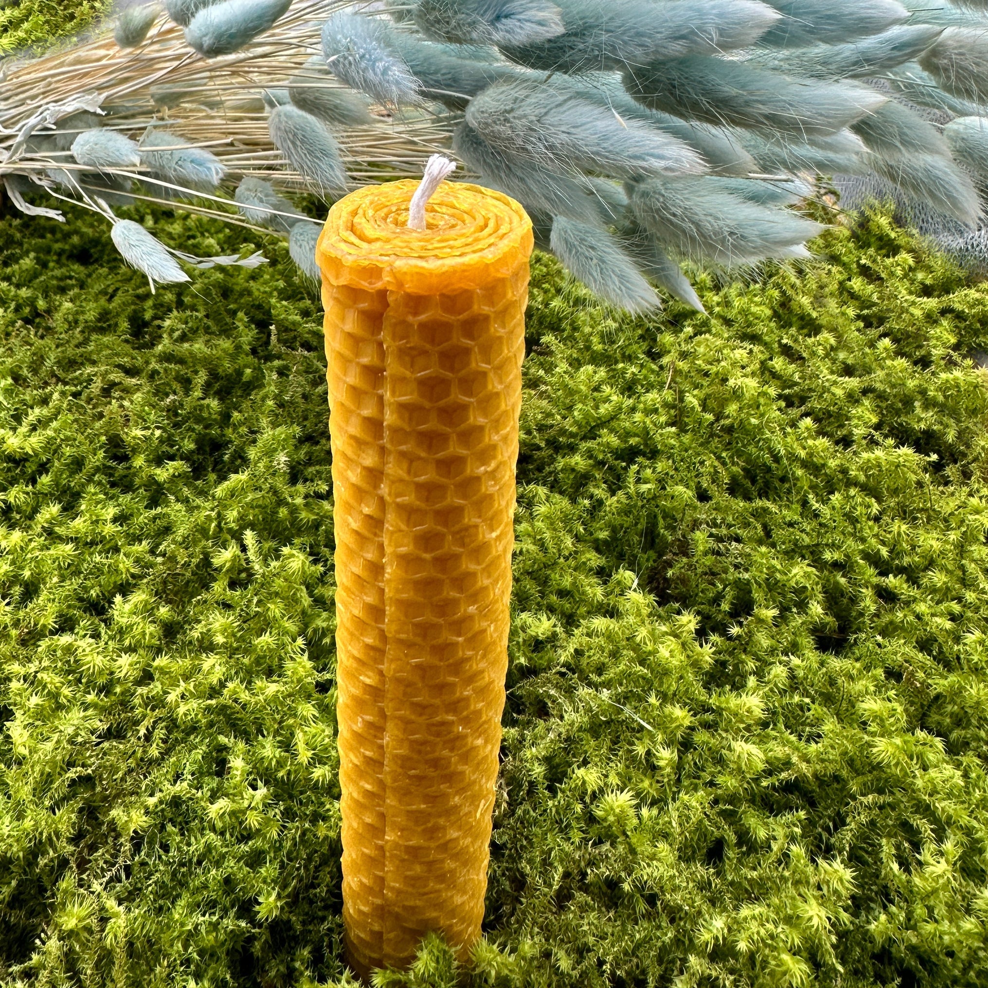GROSSE DICKE KERZE - aus natürlichem Bienenwachs - Kerzen