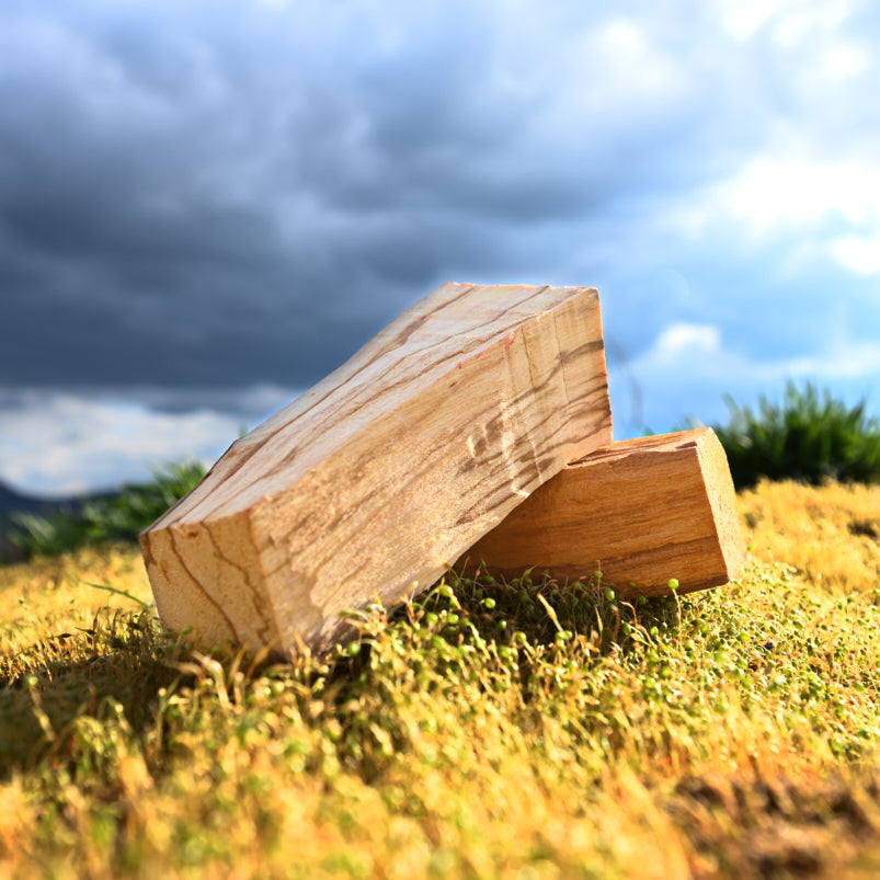 Palo Santo Räucherholz im warmen Licht auf Naturboden – hochwertige Holzstücke mit ruhiger, klarer Ausstrahlung