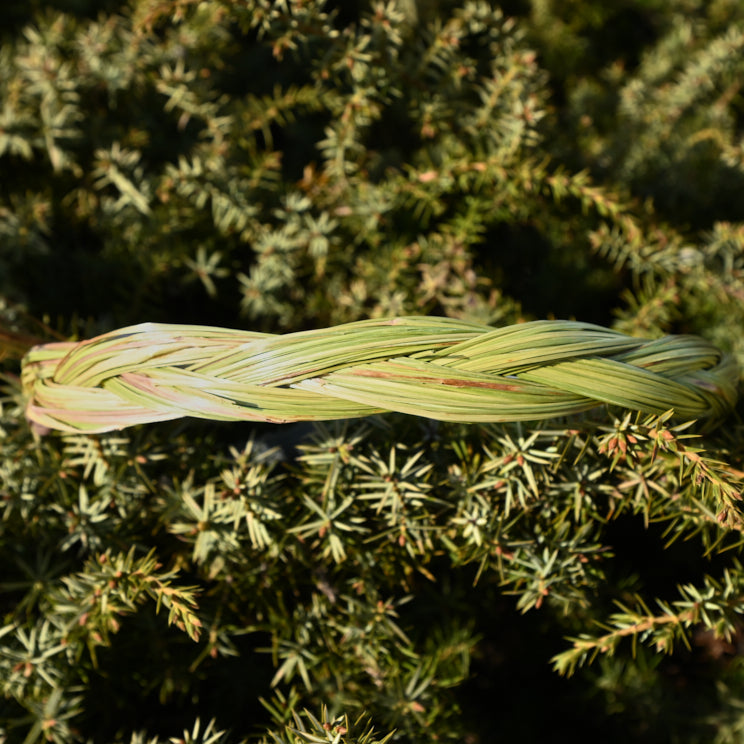 Detailaufnahme eines handgeflochtenen Sweetgrass Zopfs – natürliche Struktur und Verarbeitung