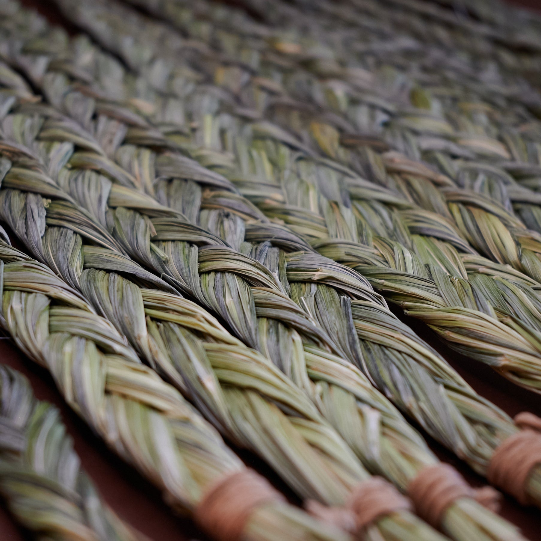 Handgeflochtene Sweetgrass Zöpfe in Reihe – dicht gearbeitetes Mariengras mit natürlicher Farbstruktur, kraftvoll, ruhig und von Hand gefertigt